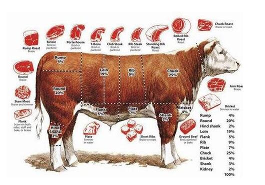 牛肉加工的洞察力